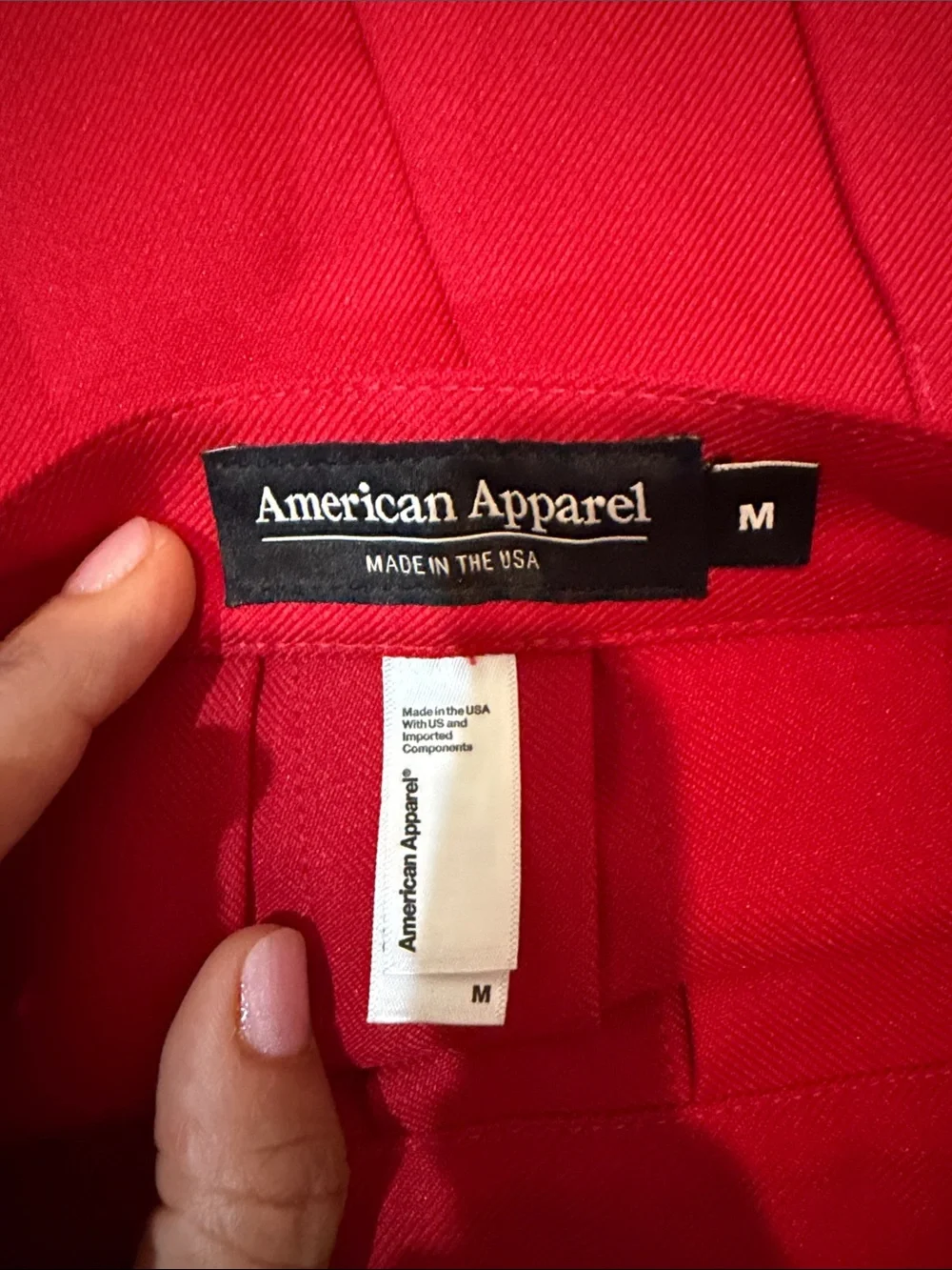 American Eagle Outfitters Bright Red Pleated Mini Skirt